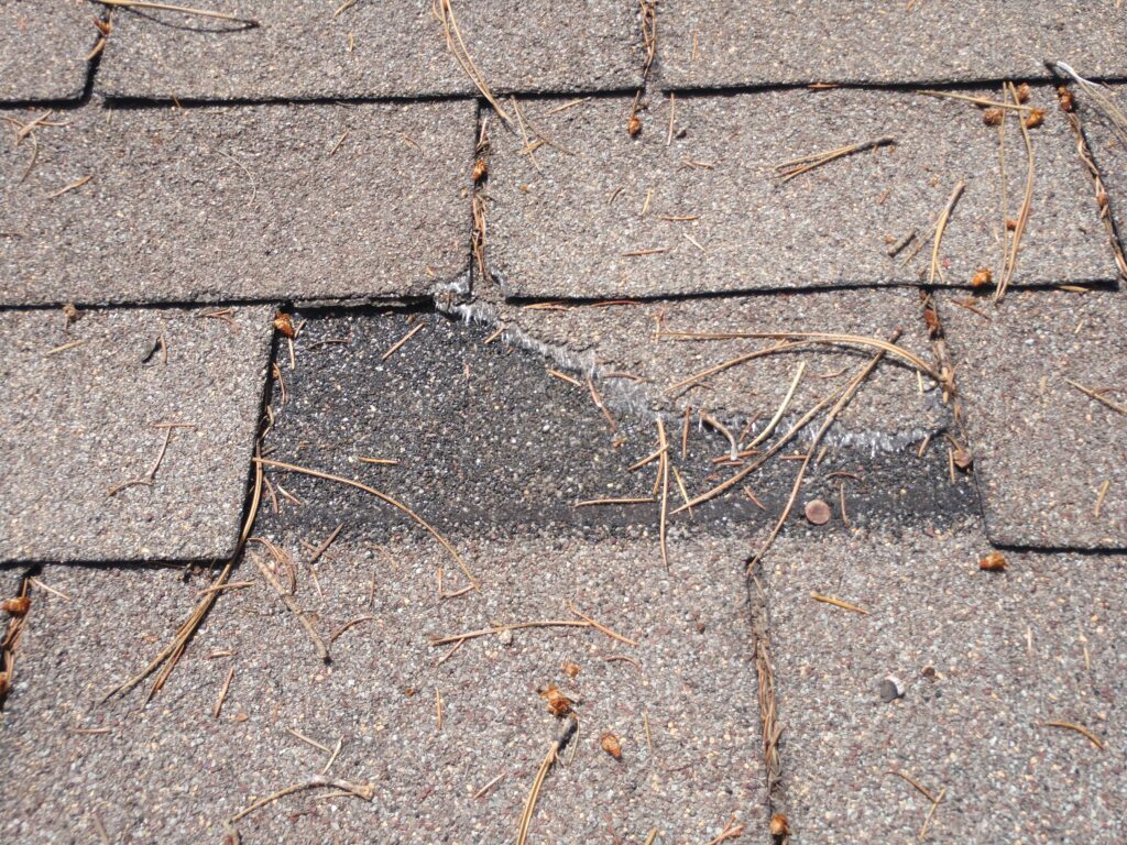 Shingles that need Meadow Vista roof repair
