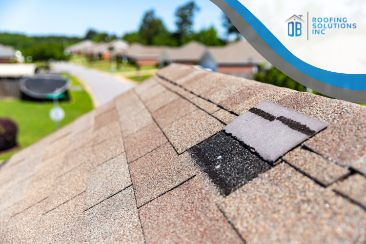 georgetown roofing and gutter services