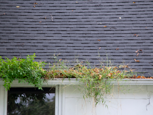 You should know the benefits and drawbacks of doing your own gutter cleaning vs hiring a roofer in Georgetown, CA.
