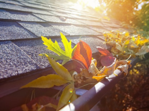 Close-up of a roof gutter filled with leaves and debris.