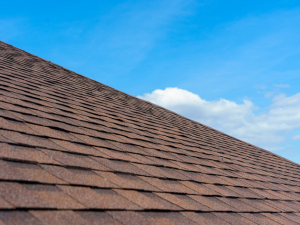 Roofing contractor inspecting a a roof under clear late summer skies in Meadow Vista, CA.