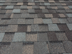 Roof inspection in progress during mid-fall in Foresthill, CA.