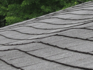 Georgetown Roofing Contractor - Damaged Roof Shingles