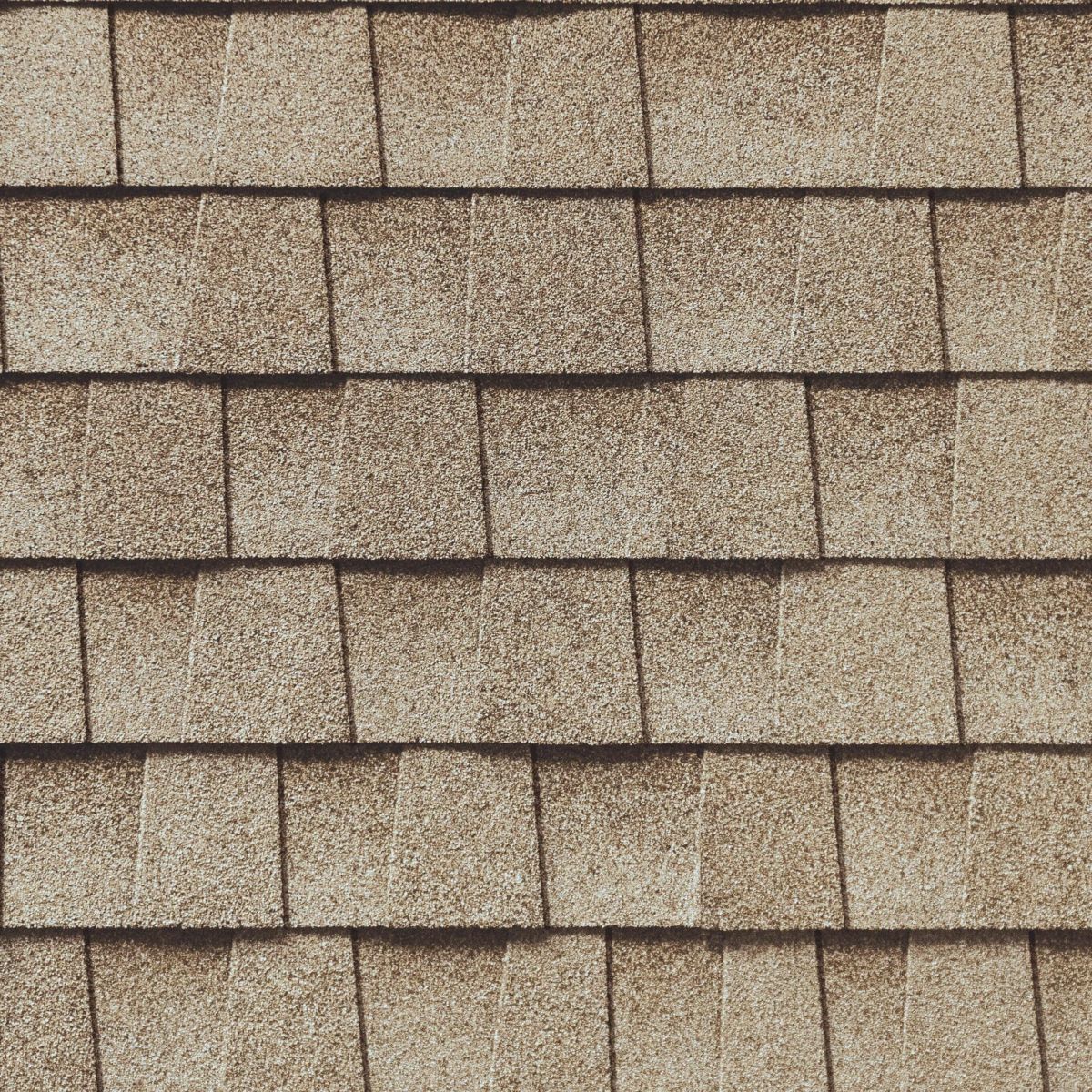 DB Roofing Solutions Images